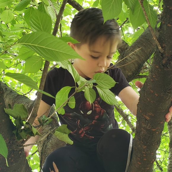 Meet your Posher Top Rated + A - Picture 11 of 16